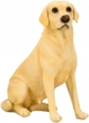 Sitzender Labrador in hellem Beige. Detailliert gestaltet, zeigt typische Merkmale des Labradors.