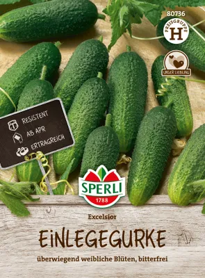 Produktbild von SPERLI Einlegegurkensamen Excelsior F1 Cucumis sativus 9 Pflanzen