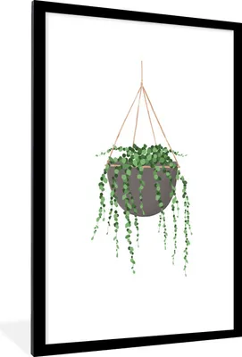 Produktbild von MuchoWow® MuchoWow® Gerahmtes Poster Pflanzen - Hängender Blumentopf - Zimmerpflanzen 60x90 cm - Poster mit zchwarzem Bilderrahmen - Dekoration - Wandposter Wohnzimmer - Hochwertig