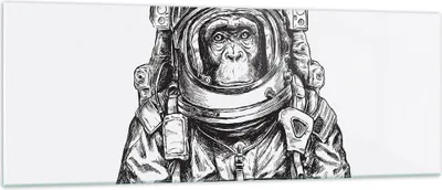 Produktbild von Bilder auf glas - Einteilig - Schimpanse Astronaut Zeichnung - 140x50cm - Glasbilder - Wandbilder - Bilder - Wanddekoration aus Glas - Glas Bilder - Wandbild auf Glas - GAB140x50-4312