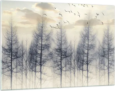 Produktbild von Bilder auf glas - Einteilig - Bäume Vögel Himmel - 120x80cm - Glasbilder - Wandbilder - Bilder - zum Aufhängen bereit - Wanddekoration aus Glas - Glas Bilder - Wandbild auf Glas - GAA120x80-4546