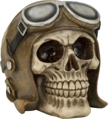 A close-up studio shot of a decorative skull wearing a pilot's helmet and goggles.