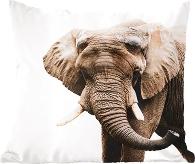 Produktbild von MuchoWow® Zierkissen Sofakissen Wohnzimmer Dekokissen 50x50 cm Elefant - Tiere - Weiß - Komfort - Sofakissen