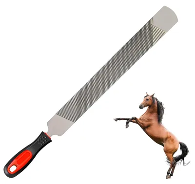 Productafbeelding van Omgoods - Hufraspel voor Paarden van Hoogwaardig Koolstofstaal