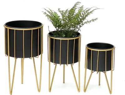 Three black metal plant stands with gold legs and accents, one holding a fern.