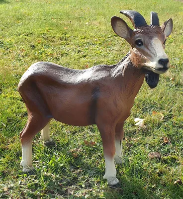 Produktbild von Ziegenbock Steinbock Geißbock Deko Figur Ziege Franz Tierfigur Gartendekoration
