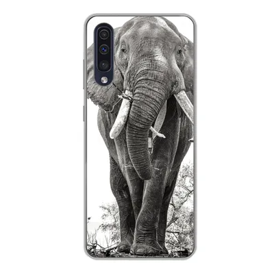Produktbild von MuchoWow® Handyhülle Schutzhülle Hülle für Samsung Galaxy A50 Elefant - Porträt - Tiere - Schwarz und weiß Silikon Softcase Handy Hülle - Mobiltelefonhülle
