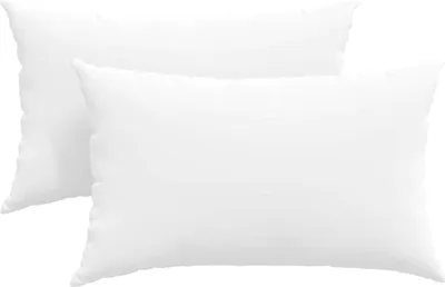 Obrázok produktu pre vidaXL Vankúšiky na pohovku, 2 ks, látka, biela, 50 x 30 cm