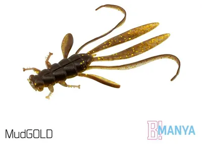 Image de DELPHIN MANYA UVs, Nymphe, 10,5 cm, couleur MUDGOLD, boîte de 5, référence 101003855