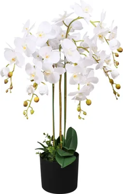 Immagine prodotto di The Living Store Orchidea artificiale con vaso 75 cm Bianco