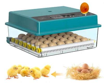 Produktbild von Automatischer Eierbrutkasten - 36 Eier - Doppelte Stromversorgung - Automatische Eierwendung - Temperatur- und Feuchtigkeitskontrolle - Für Hühnereier