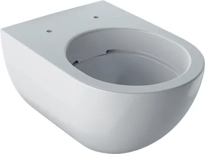 Produktbild von Geberit Wand-Tiefspül-WC ACANTO geschlossene Form, Rimfree weiß