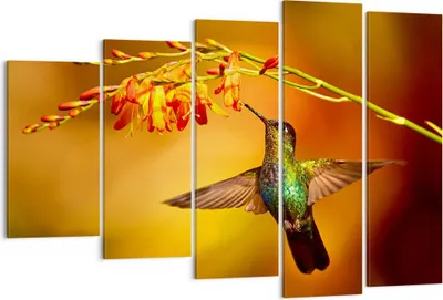 Produktbild von Bild auf Leinwand - Leinwandbild - Kolibri Vogel Sommer - 150x100cm - Wand Bild - Wanddeko - Leinwanddruck - Bilder - Kunstdruck - Wanddekoration - Leinwand bilder - Wandkunst - EG150x100-3490