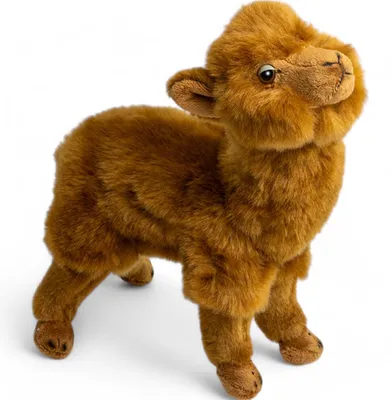 Productafbeelding van Carl Dick alpaca, bruin, staand, ongeveer 21 cm lang en ongeveer 21 cm hoog, pluche knuffel, zachte knuffel, artikelnummer 3643