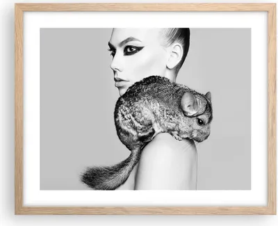 Produktbild von Gerahmtes Poster - Rahmen in heller Eiche - Chinchilla Frau Porträt - 50x40 cm - Wand Bild - Wanddeko - Wandbilder - Wandposter - Bilderrahmen - Bilder - Kunstdruck - Wandbild - P2NAA50x40-4278
