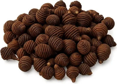 Produktbild von Spiral-Zapfen 0,5kg natur getrocknet | Leucadendron Deko Basteln Floristik