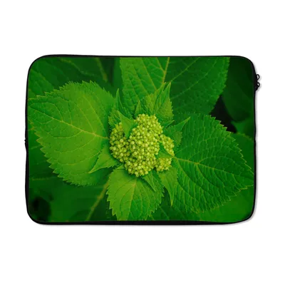 Obrázok produktu pre Puzdro na notebook 14 palcov Fotografia botanickej rastliny hortenzie Taška na notebook