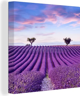 Produktbild von OneMillionCanvasses® - Leinwandbilder - Bild auf Leinwand Wandbild Leinwandbild Lavendel - Natur - Lila - Bäume - Blumen, 90x90 cm, Kunstdruck Wandkunst Gemälde auf Holzrahmen - Malereien - Wandschmuckes
