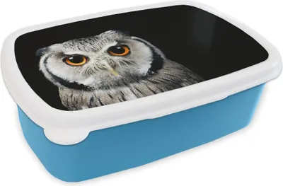 Produktbild von KitchenYeah® Lunchbox Brotzeit Brotdose 17x11 cm Nahaufnahme Eule Kinder Brotzeitdose - Lunch - Kunststoff  - Brotbüchse - Sandwichbox - Lunchbox für Kinder