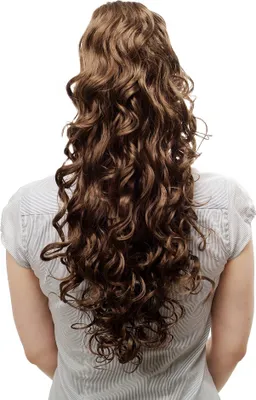 Produktbild von WIG ME UP Zopf, lockig, Braun N310-10