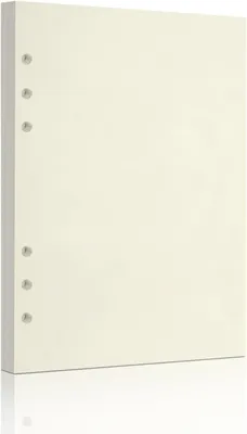 Produktbild von A5 Nachfüllpapier, 6-Loch, 80 Blatt/160 Seiten, beige, für Ringbuch und Notizbuch
