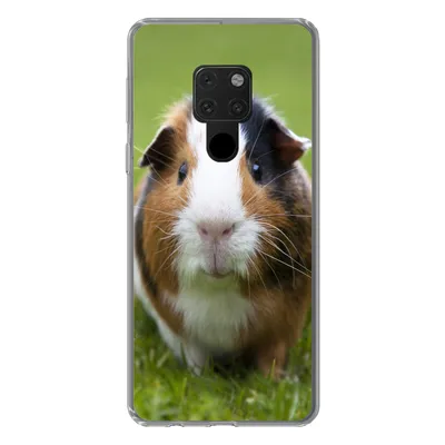Produktbild von MuchoWow® Handyhülle Schutzhülle Hülle für Huawei P40 Lite Zwei Meerschweinchen Silikon Softcase Handy Hülle - Handy