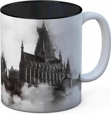 Image de Kubek SD TOYS Harry Potter - Premium Naczynie z Motywem Zamku w Hogwarcie