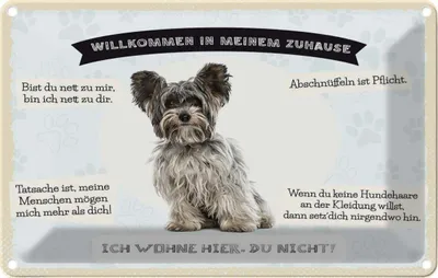 Produktbild von vianmo Blechschild 20x30 cm Tiere Yorkshire Terriere willkommen Hund
