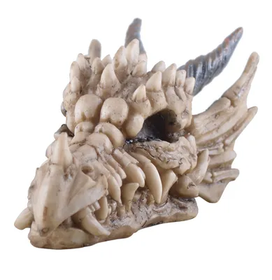 Produktbild von Kleiner Drachenschädel detailreiche Dekofigur aus Polyresin handbemalt 14x7x7 cm