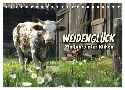 Produktbild von Weidenglück: Ein Jahr unter Kühen (Tischkalender 2027 DIN A5 quer), CALVENDO Monatskalender