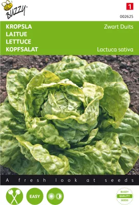 Produktbild von Kopfsalat Fürchtenichts | Kopfsalatsamen von Buzzy Seeds