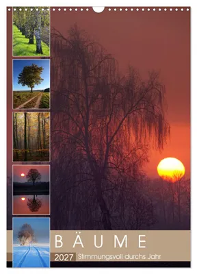 Produktbild von Bäume - Stimmungsvoll durchs Jahr (Wandkalender 2027 DIN A3 hoch), CALVENDO Monatskalender