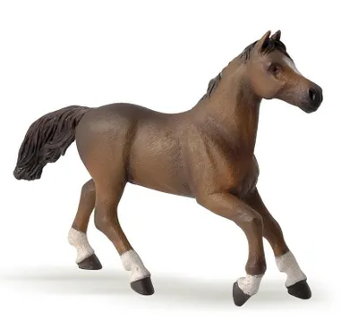 Produktbild von Papo Horses Pferd Anglo-Araber Stute 51075