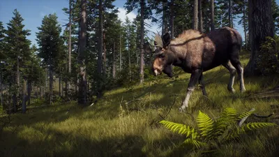 Obrázok produktu pre Way of the Hunter