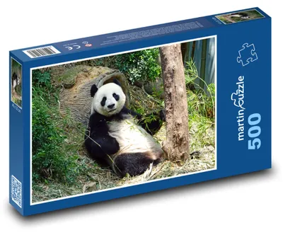 Zdjęcie produktu dla martinpuzzle - Puzzle 500 - Panda w lesie