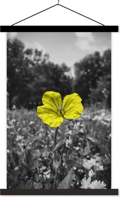 Produktbild von MuchoWow® Textilposter Blumen - Gelb - Schwarz - Weiß 120x180 cm mit schwarzem Rahmen - Fotos