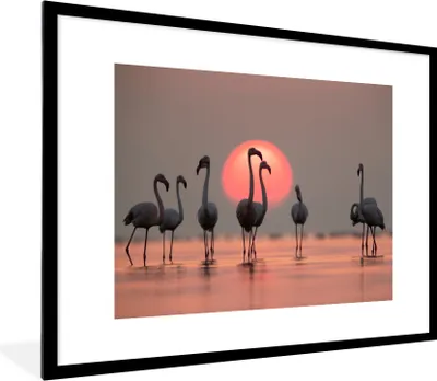 Produktbild von MuchoWow® Gerahmtes Poster Vogel - Flamingo - Sonnenuntergang - Rosa 80x60 cm - Poster mit Schwarzem Bilderrahmen Wandposter Rahmen Foto Bilder - Schlafzimmer-Dekorationen - Fotoposter