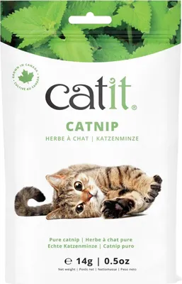 Image de Catit Véritable herbe à chat canadienne - 14g
