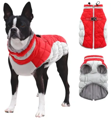 Productafbeelding van Winter Hondenjas met Tuig - Rood - XL