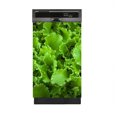 Produktbild von Aufkleber sticker 45x70 cm Dekorative folie Spülmaschine - Grüne Salatblätter