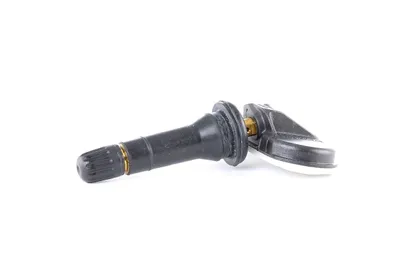 Image de Capteur de roue, système de contrôle de la pression des pneus SCHRADER 3002