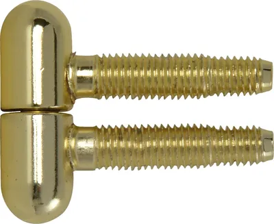 Produktbild von SFS Einbohrband Türband 3-Stufengewindebolzen ø13mm mit Rundkopf Stahl vergoldet