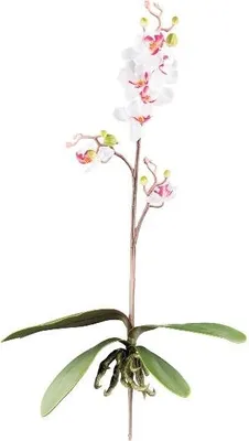 Produktbild von artplants.de Künstliche Phalaenopsis Orchidee MALZA, Steckstab, Wurzeln, weiß-lila, 55cm - Kunst Orchidee