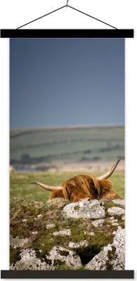 Produktbild von MuchoWow® Textilposter Schottisches Hochlandrind - Steine - Moos 90x180 cm mit schwarzem Rahmen - Dekoration Wohnzimmer