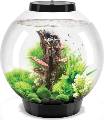 Image de Aquarium biOrb CLASSIC 30 LED noir