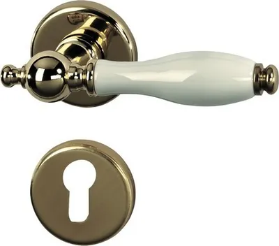 A door handle set and a keyhole escutcheon on a white background.