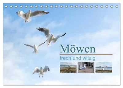 Produktbild von Möwen frech und witzig (Tischkalender 2027 DIN A5 quer), CALVENDO Monatskalender