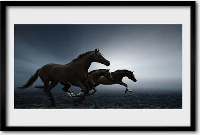 Produktbild von Bild 60x40 MDF-Rahmen Wandkunst Pferde Tiere