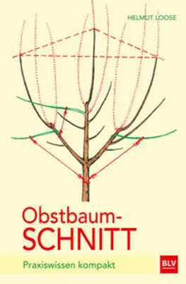 Produktbild von Obstbaumschnitt