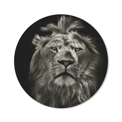 Produktbild von MuchoWow® Mauspad Mousepad Löwe - Tiere - Porträt - Wildtiere - Schwarz und weiß 40x40 cm - Mousepads - Maus Mat - Pad - Mausunterlage - Schreibtisch Accessoires